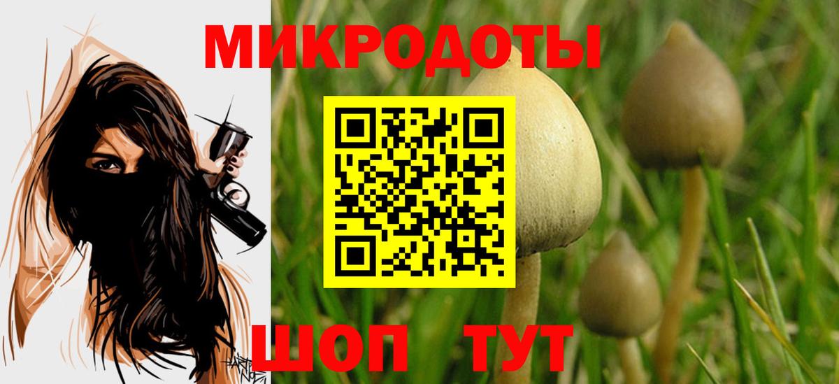 Псилоцибиновые грибы Psilocybe Мытищи